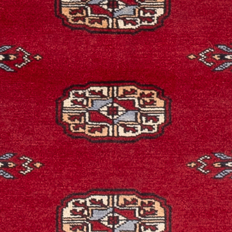 Tapete Paquistão 239x79cm - Tapete Oriental
