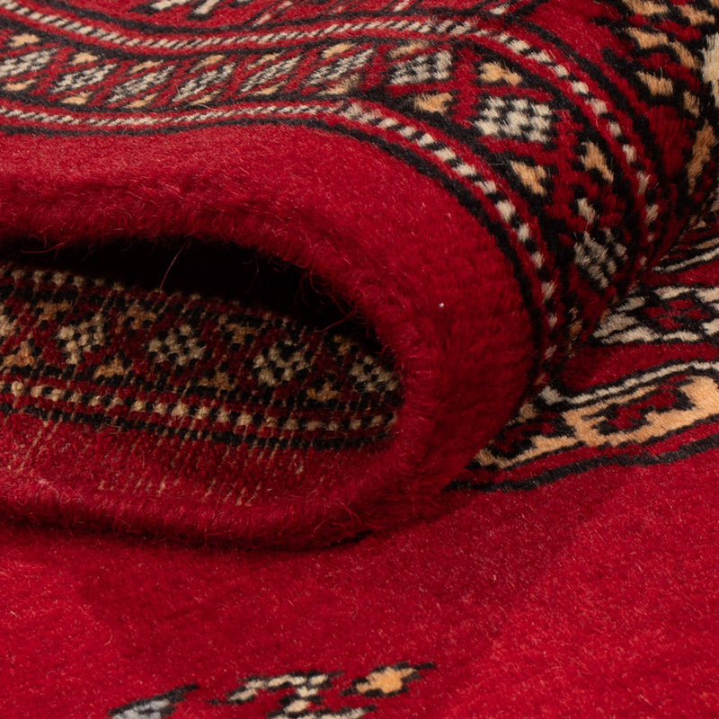 Tapete Paquistão 239x79cm - Tapete Oriental