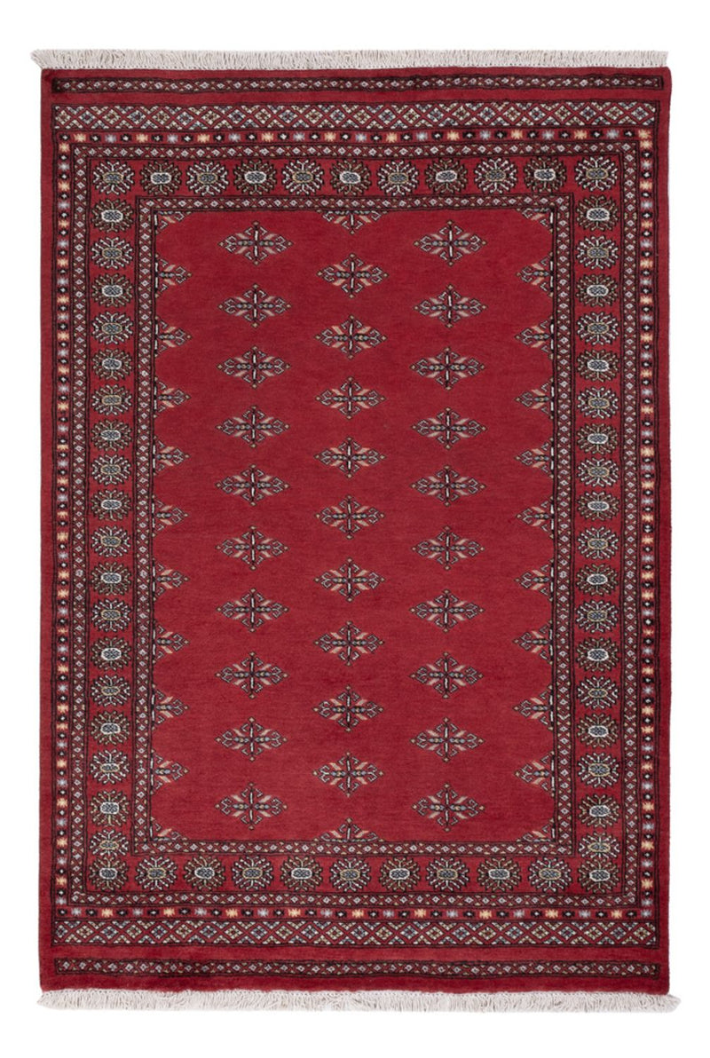 Tapete Paquistão 203x137cm - Tapete Oriental