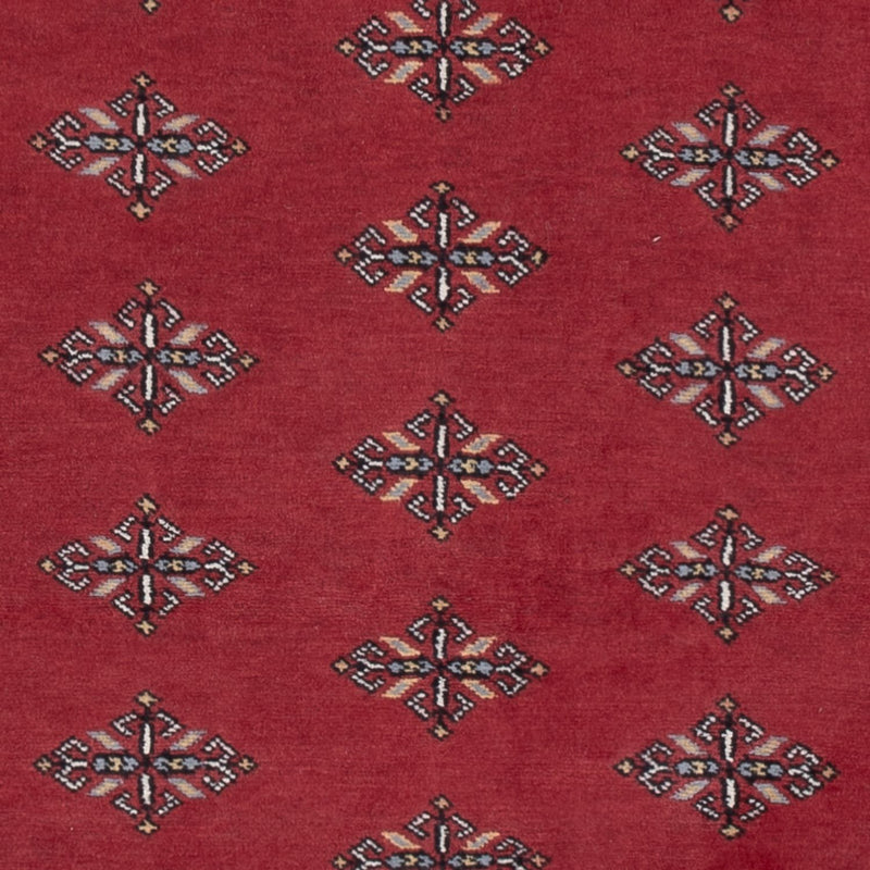 Tapete Paquistão 215x137cm - Tapete Oriental