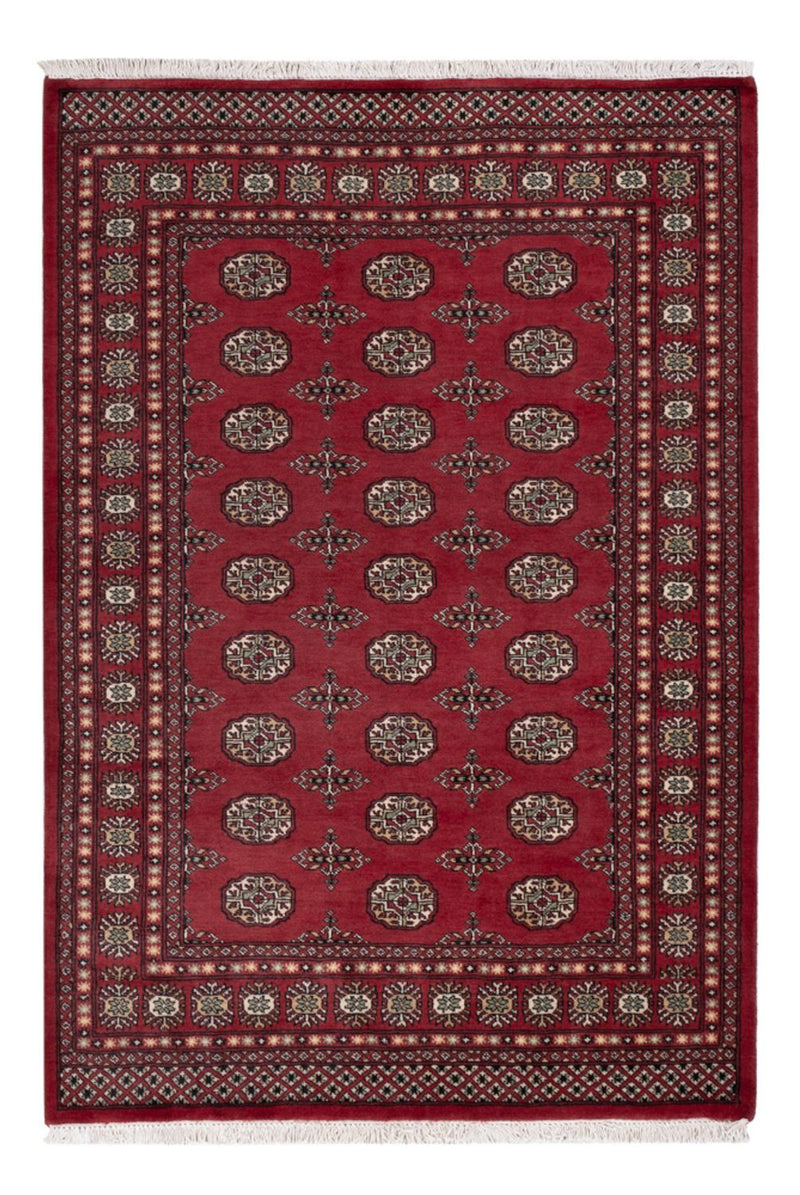 Tapete Paquistão 204x141cm - Tapete Oriental