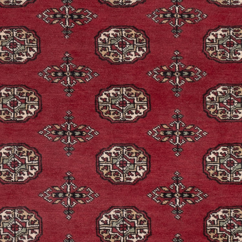 Tapete Paquistão 204x141cm - Tapete Oriental