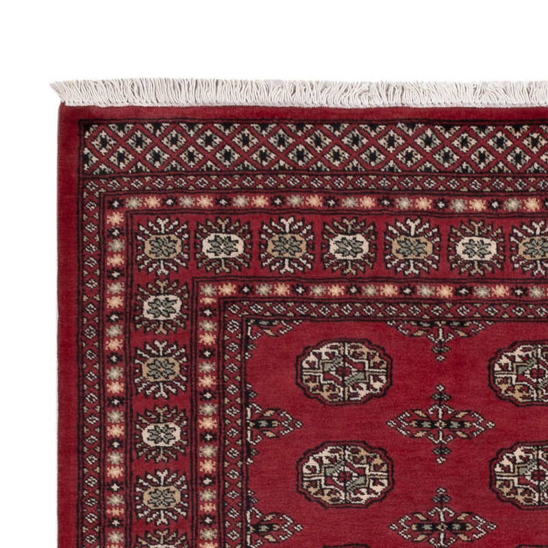 Tapete Paquistão 204x141cm - Tapete Oriental