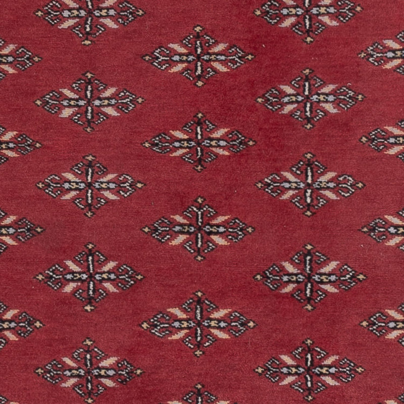 Tapete Paquistão 183x140cm - Tapete Oriental