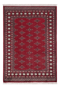 Tapete Paquistão 195x140cm - Tapete Oriental – product image