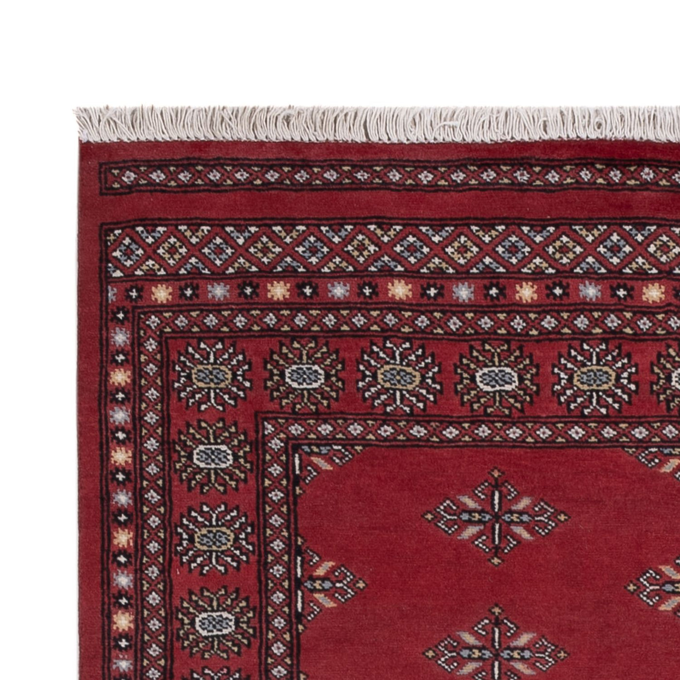 Tapete Paquistão 205x138cm - Tapete Oriental