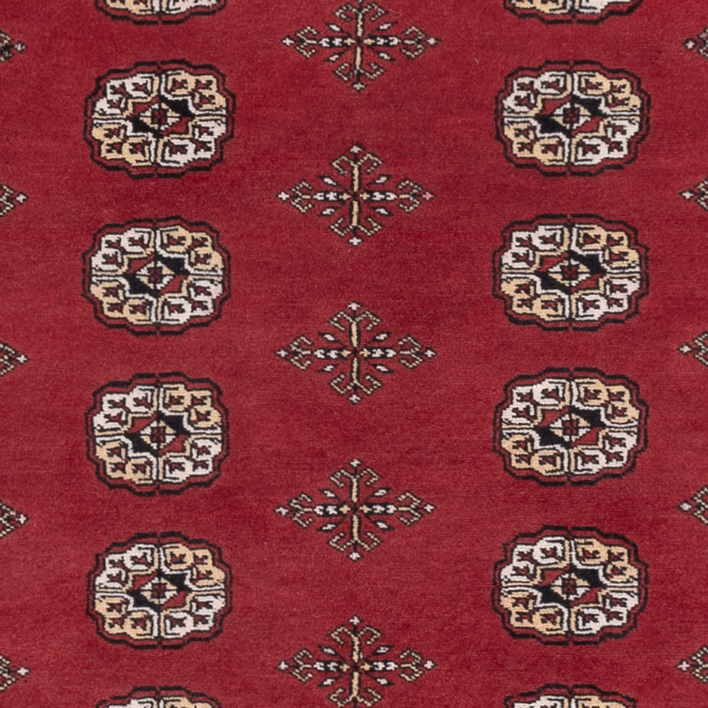 Tapete Paquistão 216x139cm - Tapete Oriental