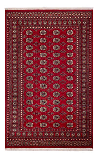 Tapete Paquistão 256x167cm - Tapete Oriental – product image