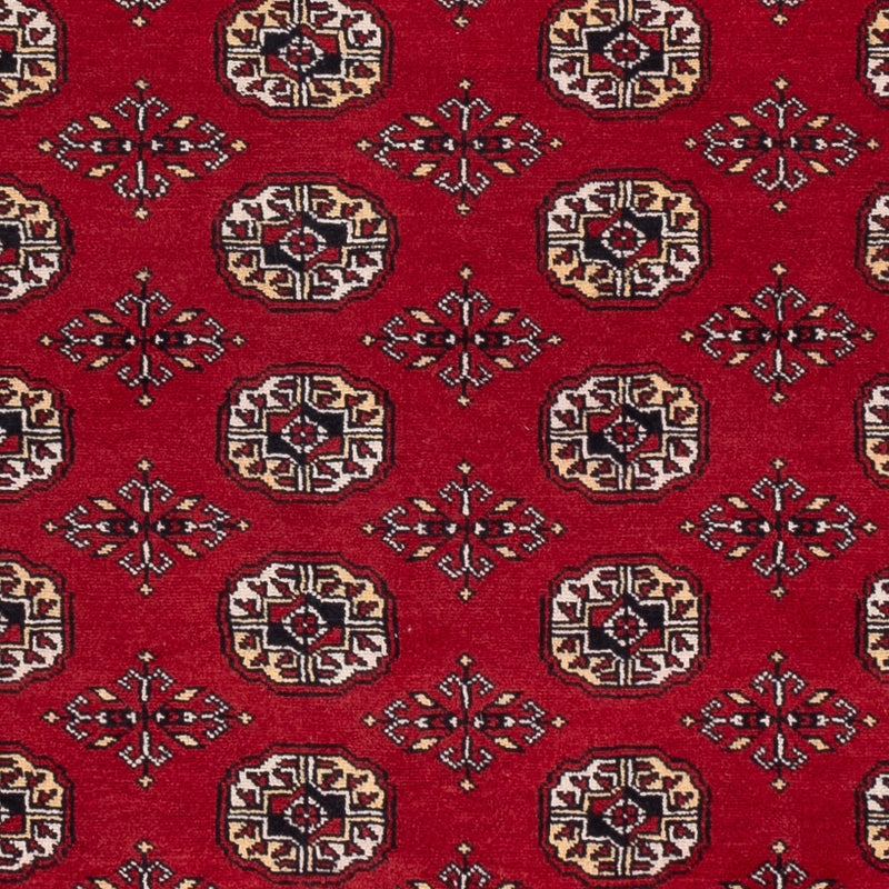 Tapete Paquistão 256x167cm - Tapete Oriental