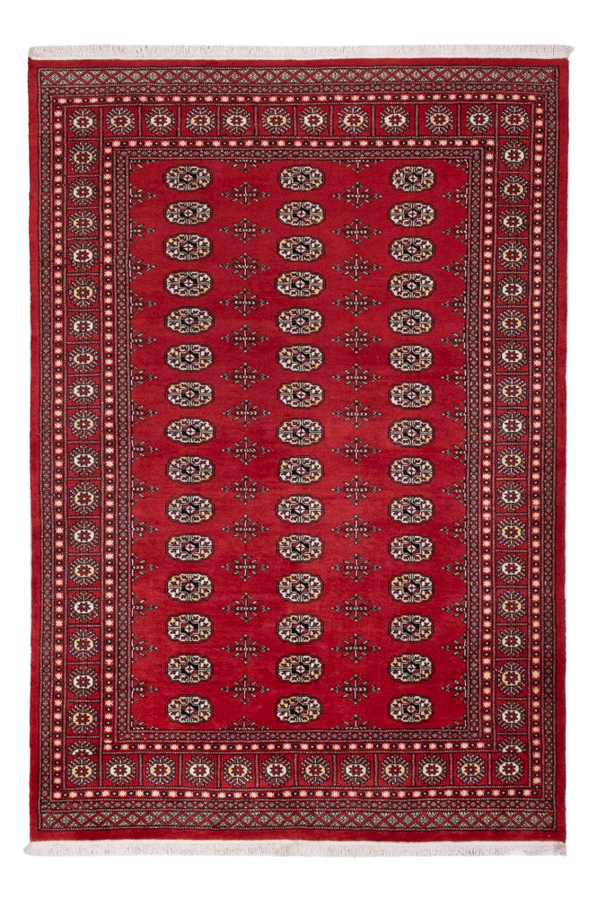 Tapete Paquistão 243x168cm - Tapete Oriental