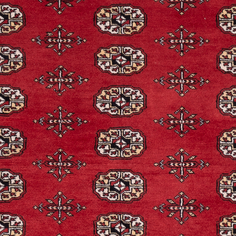 Tapete Paquistão 243x168cm - Tapete Oriental