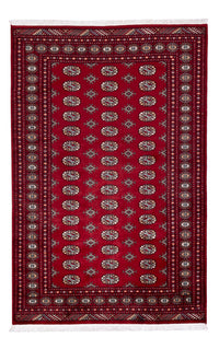 Tapete Paquistão 241x154cm - Tapete Oriental – product image