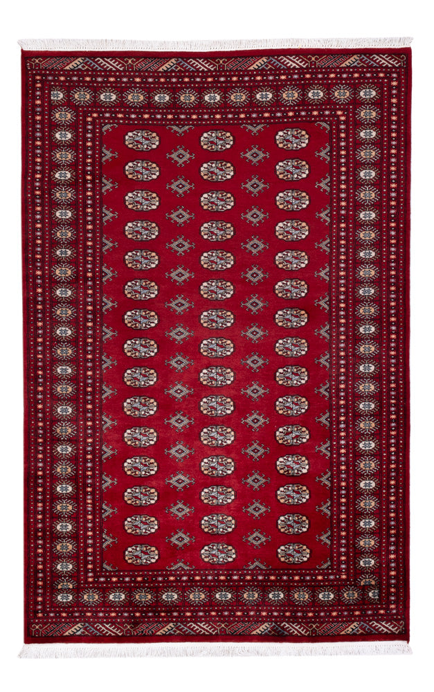 Tapete Paquistão 241x154cm - Tapete Oriental