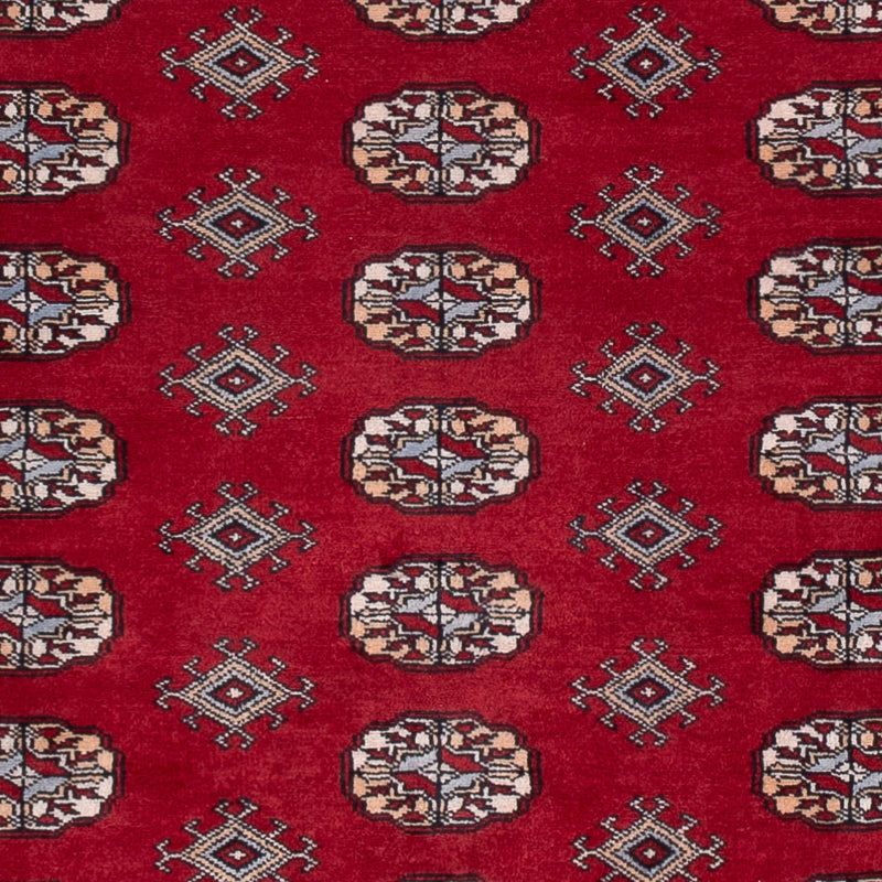 Tapete Paquistão 241x154cm - Tapete Oriental