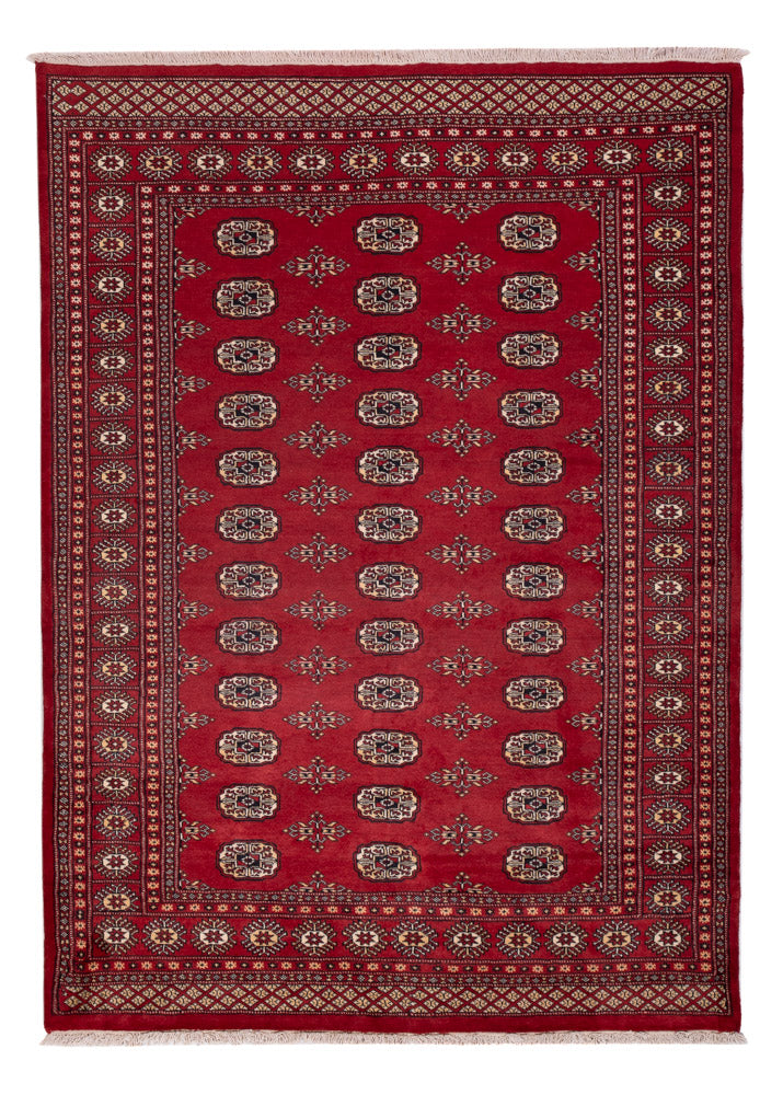Tapete Paquistão 240x171cm - Tapete Oriental