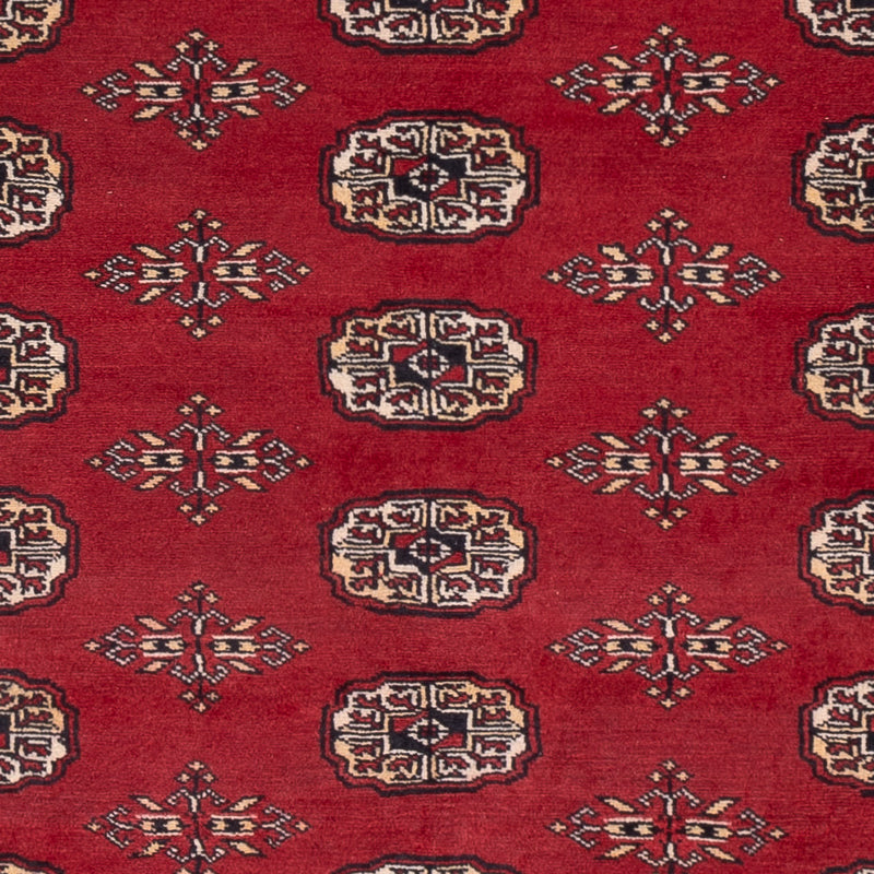 Tapete Paquistão 240x171cm - Tapete Oriental