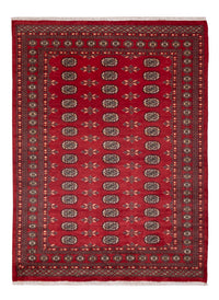 Tapete Paquistão 231x172cm - Tapete Oriental – product image