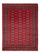 Tapete Paquistão 231x172cm - Tapete Oriental