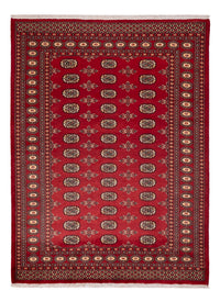 Tapete Paquistão 233x174cm - Tapete Oriental – product image