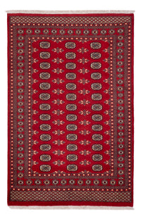 Tapete Paquistão 258x179cm - Tapete Oriental – product image