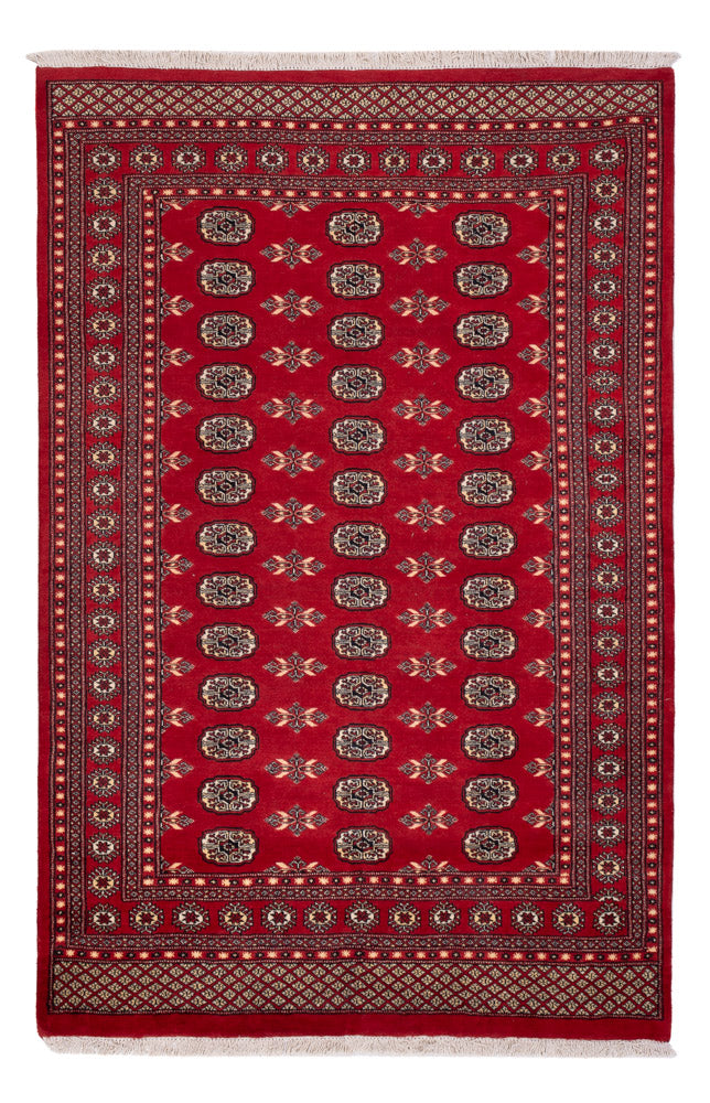 Tapete Paquistão 258x179cm - Tapete Oriental