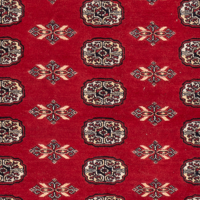 Tapete Paquistão 258x179cm - Tapete Oriental