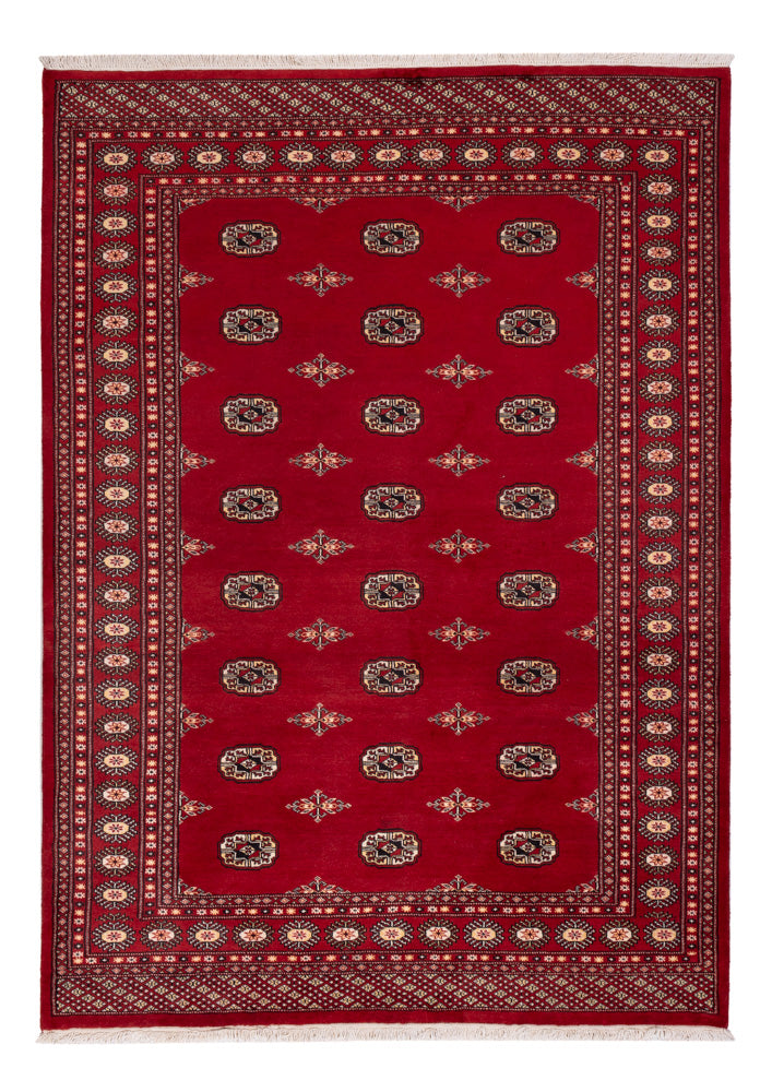 Tapete Paquistão 236x171cm - Tapete Oriental