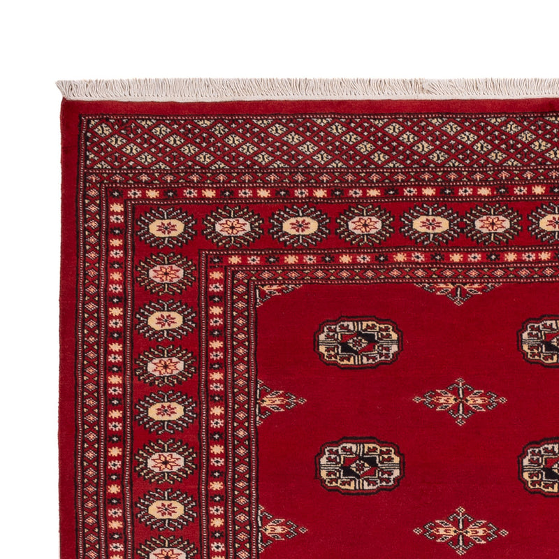 Tapete Paquistão 236x171cm - Tapete Oriental