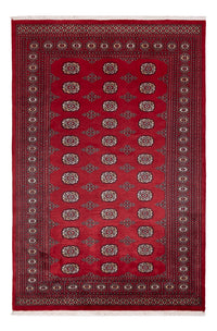 Tapete Paquistão 249x167cm - Tapete Oriental – product image