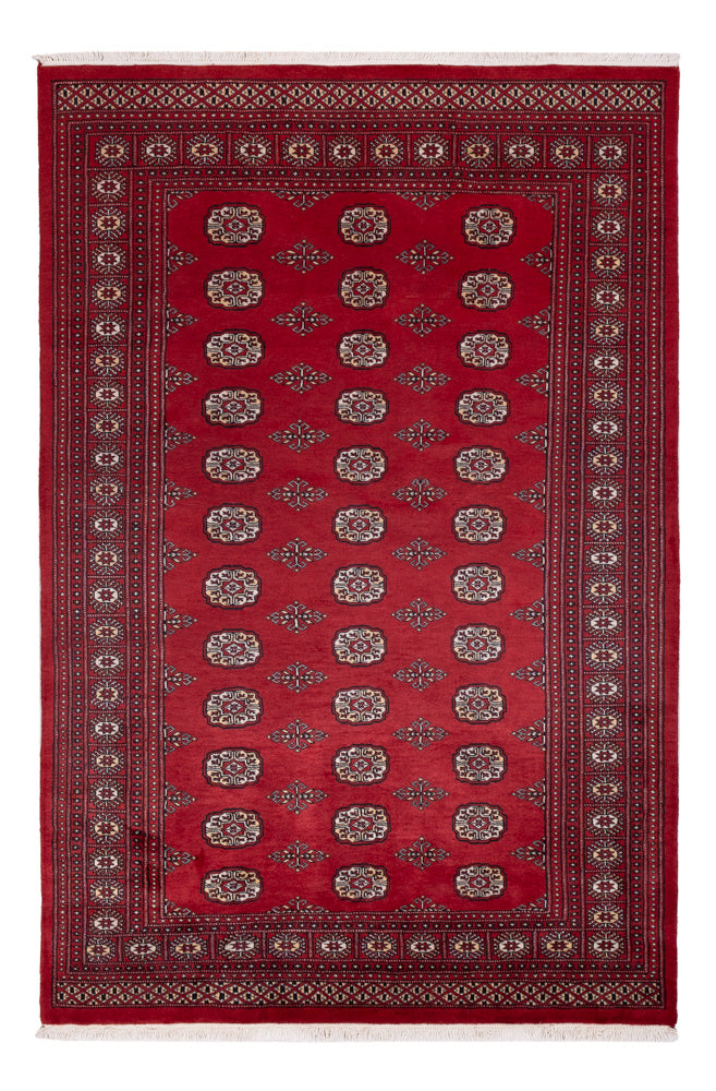 Tapete Paquistão 249x167cm - Tapete Oriental