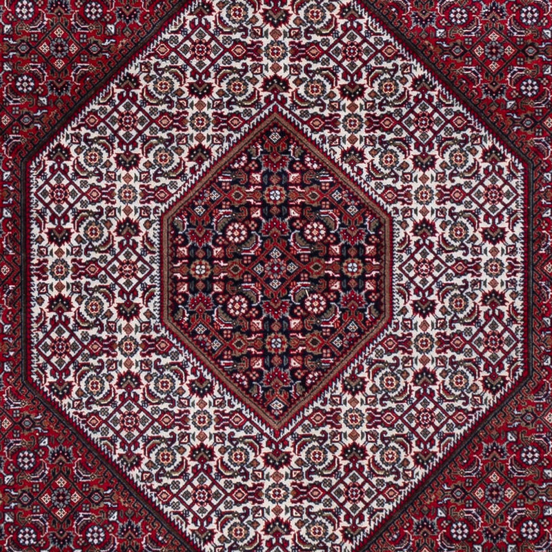 Bidjar Indo Tapete 300x247cm - Tapete Oriental