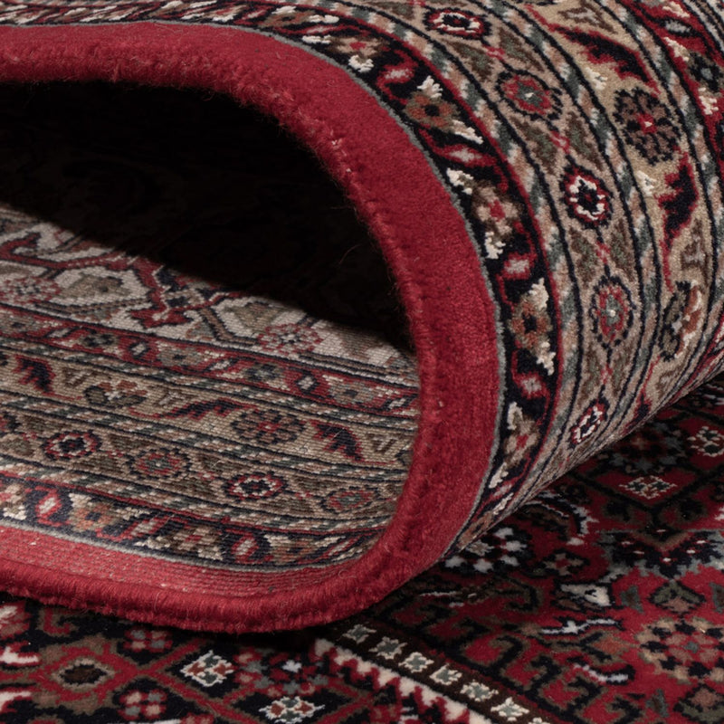 Bidjar Indo Tapete 300x247cm - Tapete Oriental