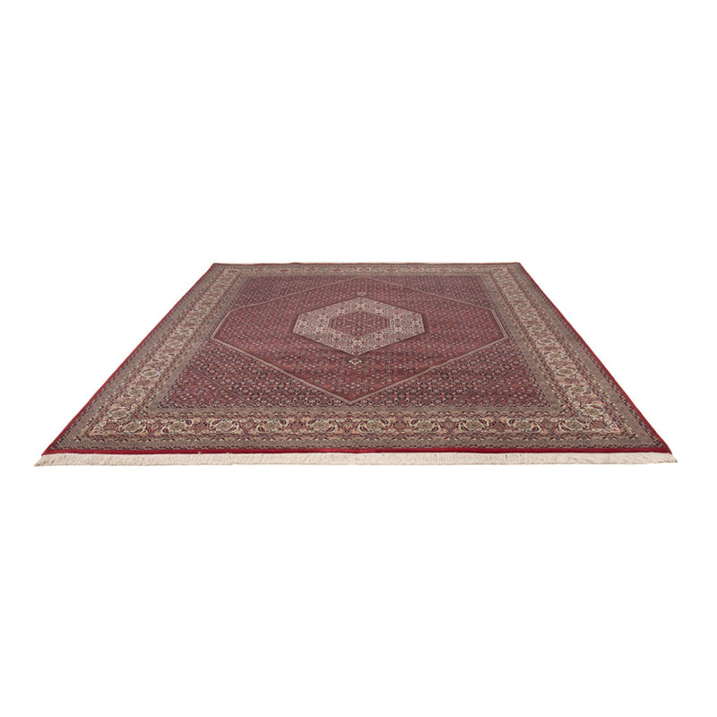 Bidjar Indo Tapete 300x247cm - Tapete Oriental