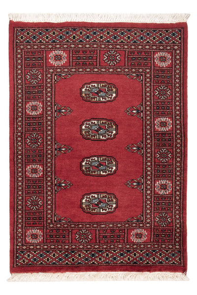 Tapete Paquistão 75x103cm - Tapete Oriental