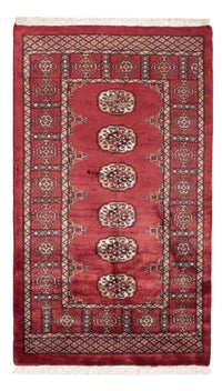 Tapete Paquistão 146x89cm - Tapete Oriental – product image