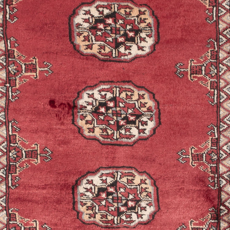 Tapete Paquistão 146x89cm - Tapete Oriental