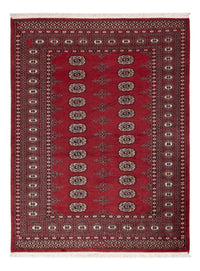 Tapete Paquistão 137x179cm - Tapete Oriental – product image