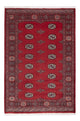 Tapete Paquistão 185x126cm - Tapete Oriental