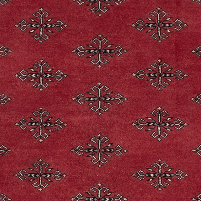 Tapete Paquistão 183x124cm - Tapete Oriental