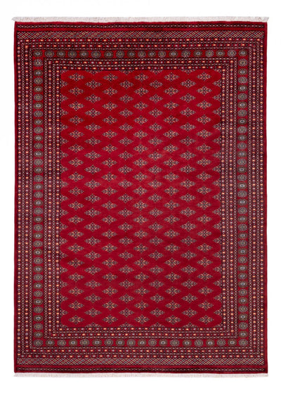 Bukhara Tapete 253x350cm - Tapete Oriental