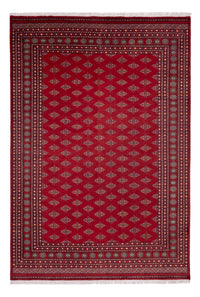 Bukhara Tapete 365x249cm - Tapete Oriental – product image