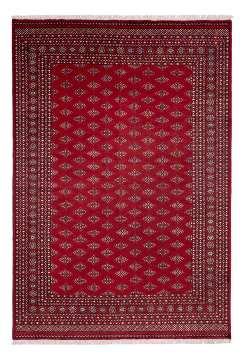 Bukhara Tapete 365x249cm - Tapete Oriental