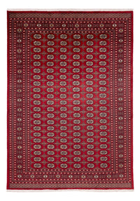 Bukhara Tapete 346x241cm - Tapete Oriental – product image