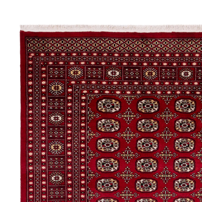 Bukhara Tapete 346x241cm - Tapete Oriental