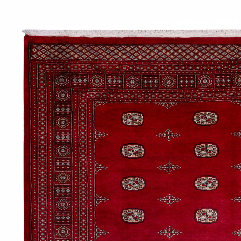 Bukhara Tapete 364x283cm - Tapete Oriental