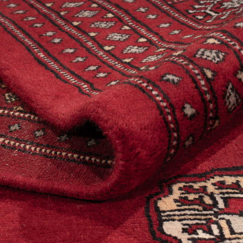 Bukhara Tapete 364x283cm - Tapete Oriental