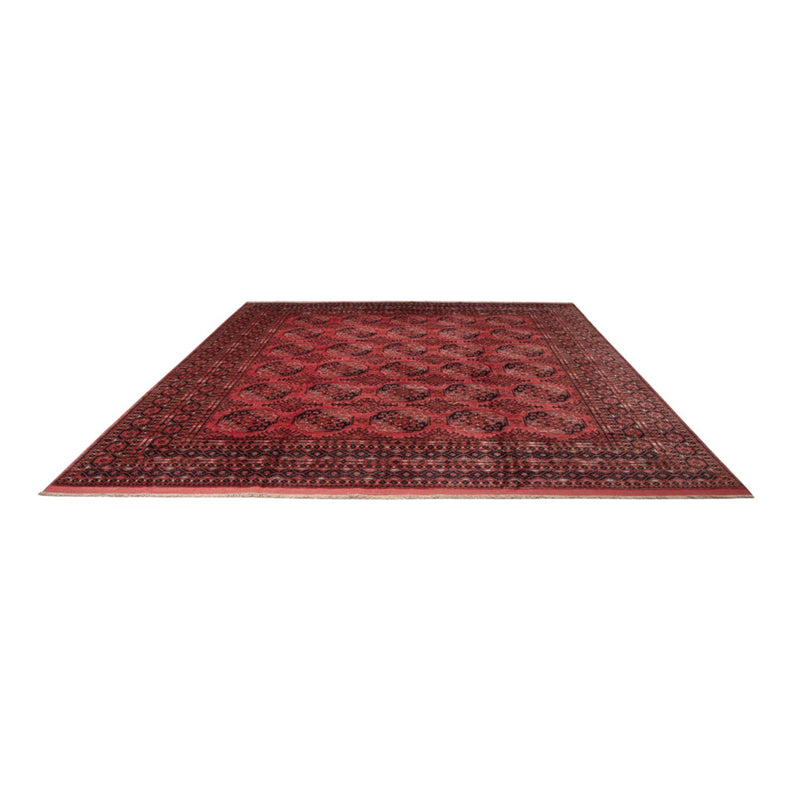 Bukhara Tapete 404x351cm - Tapete Oriental