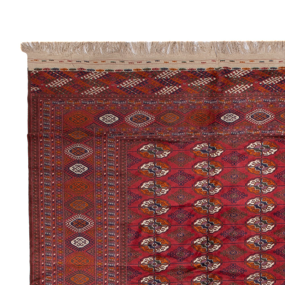 Bukhara Tapete 308x505cm - Tapete Oriental