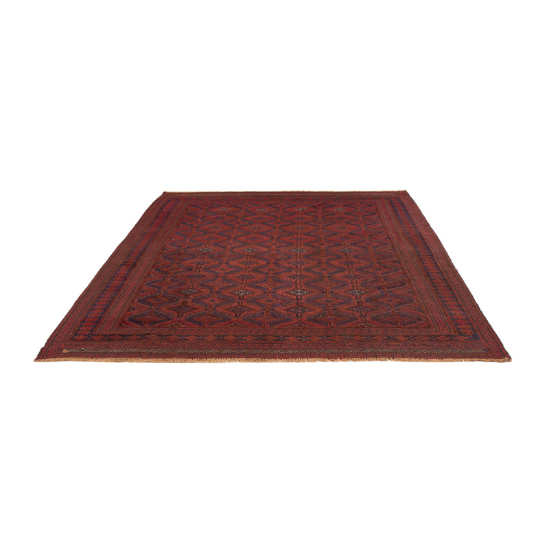 Kilim afegão Tapete 203x270cm