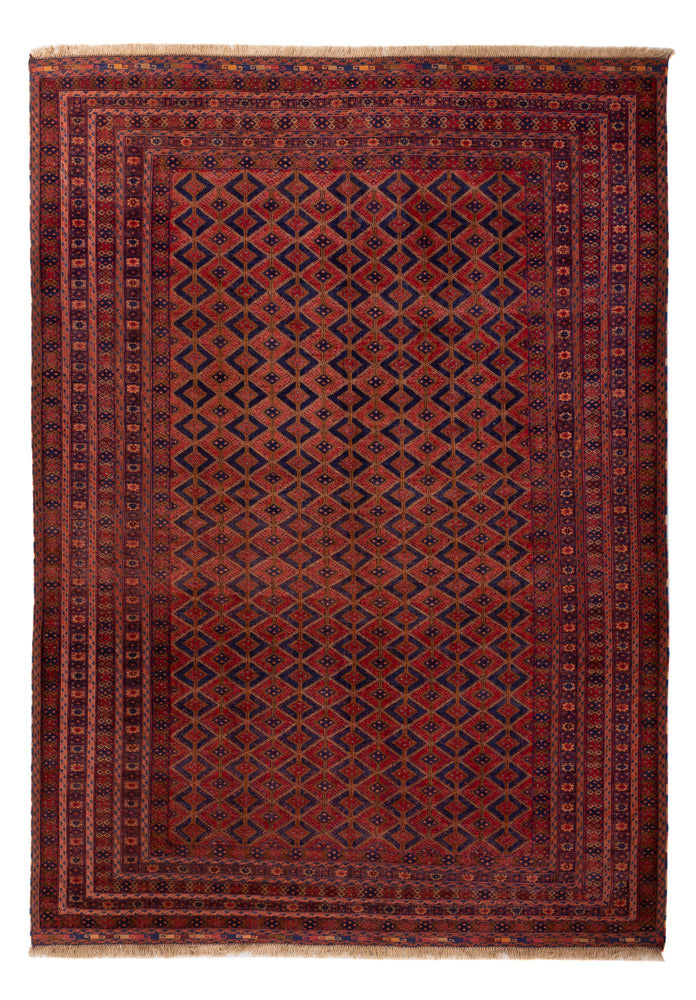 Kilim afegão Tapete 295x205cm